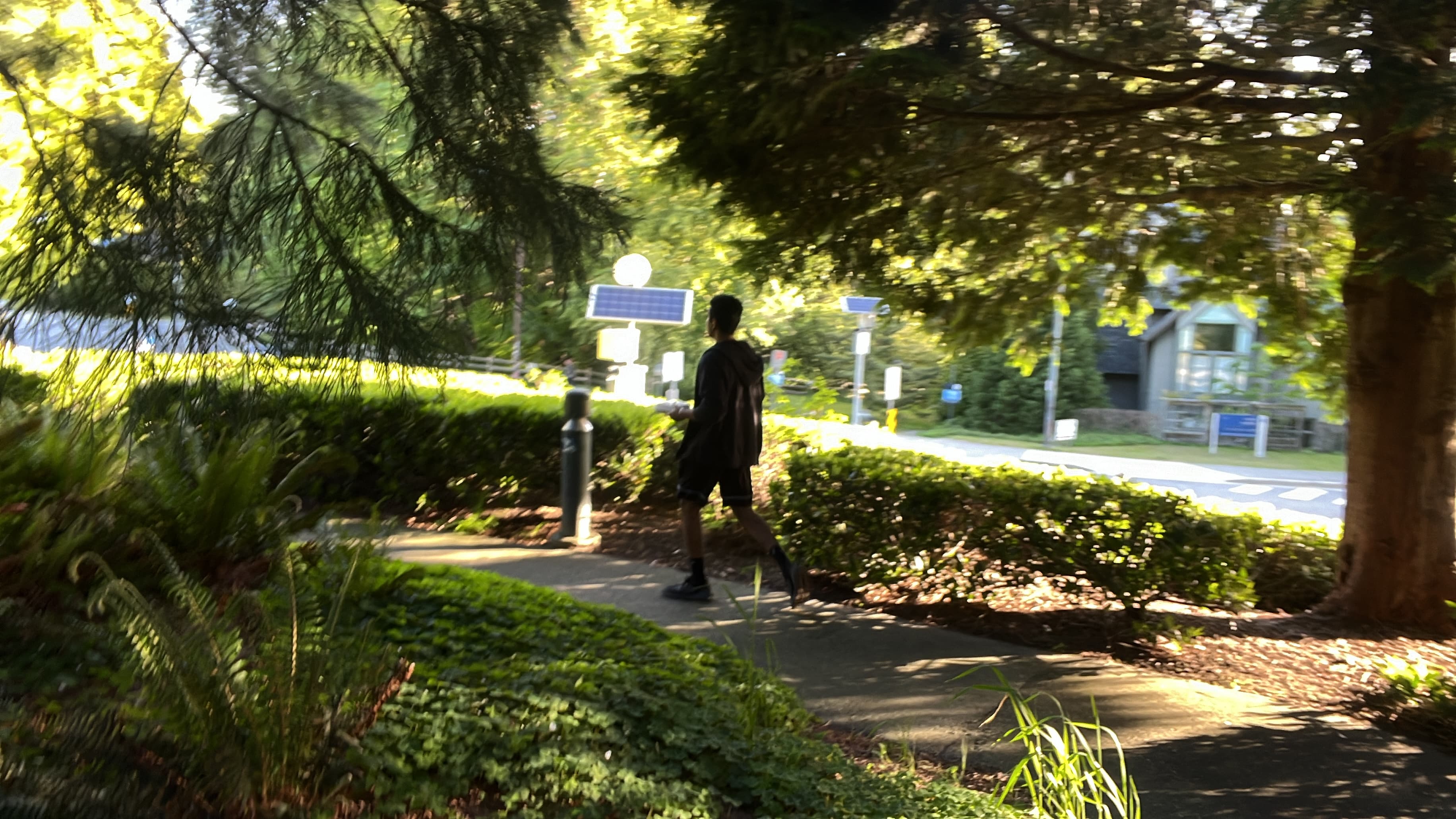 UBC Garden